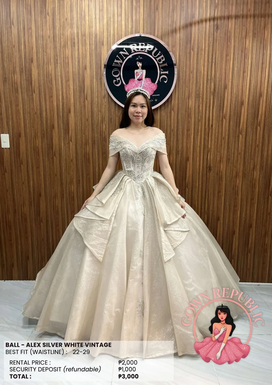 Ball Gowns: Silver / Gray 261